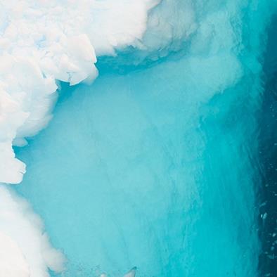 aerial view of icebergs with white and bluish white ice