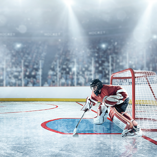 Hockey goalie in a stance in front of the net