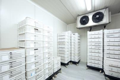 Storage room with wall ac unit