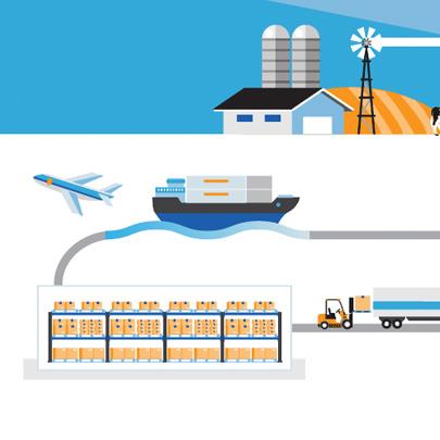 cartoon of the cold chain
