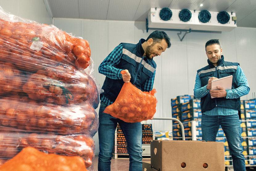 people loading onions into a box
