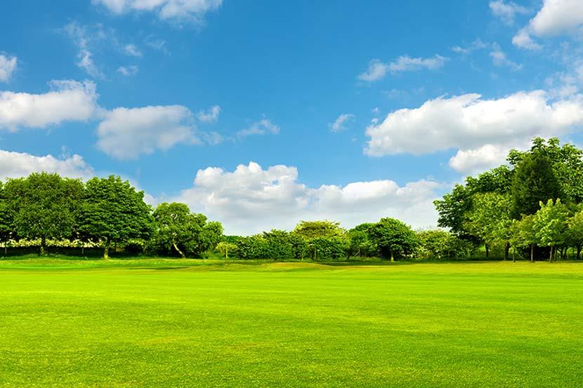 Open field with blue skies and trees in the distance